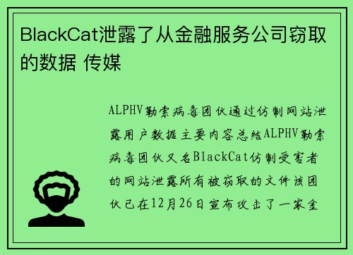 BlackCat泄露了从金融服务公司窃取的数据 传媒 BlackCat泄露了从金融服务公司窃取的数据 传媒