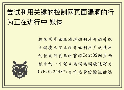 尝试利用关键的控制网页面漏洞的行为正在进行中 媒体